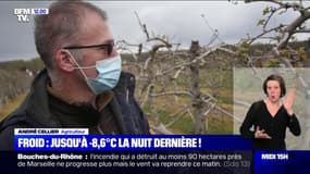 Froid: comment cet arboriculteur et viticulteur tente de sauver ses récoltes