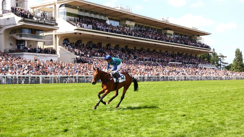 Diamond Carl brille dans le Grand Steeple-Chase de Paris