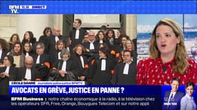 Avocats en grève, justice en panne ? - 15/01