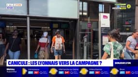 Canicule: les Lyonnais partent à la campagne pour échapper aux fortes chaleurs