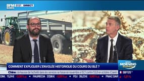 Gautier Le Molgat (Directeur général adjoint d'Agritel): "Sur la récolte prochaine (de blé), il y a déjà des négociations au-dessus de 250 euros"
