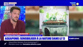 Planète locale Marseille : Allauch: Des parfums éco-responsables.