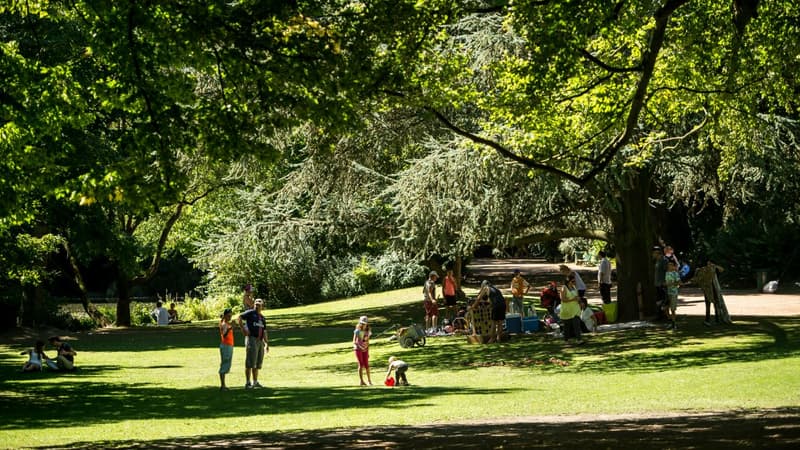 Un parc à Lille (photo d'illustration).