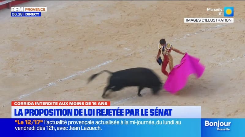 Arles: une proposition de loi pour réglementer la corrida rejetée au Sénat