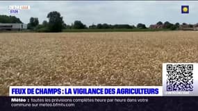 "C'est une période critique": la vigilance des agriculteurs nordistes face aux feux de champs