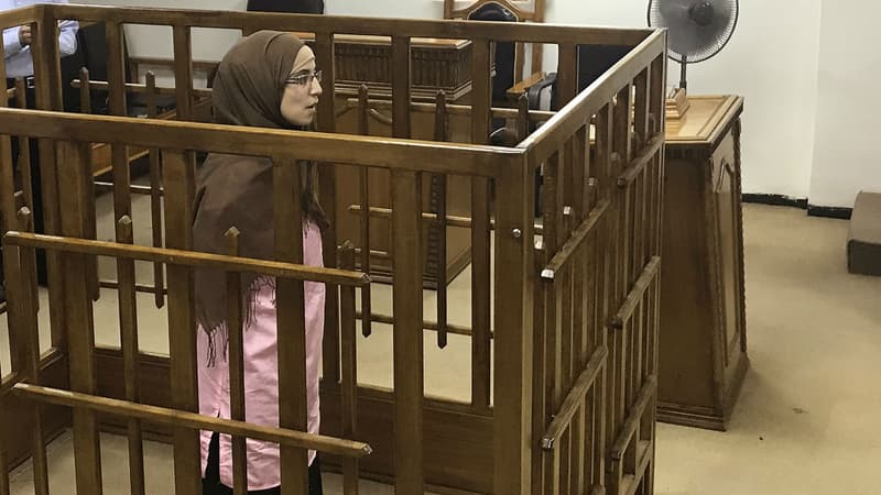 19 femmes russes ayant rejoint Daesh ont été condamnées à la prison à perpétuité en Irak, le 29 avril 2018 