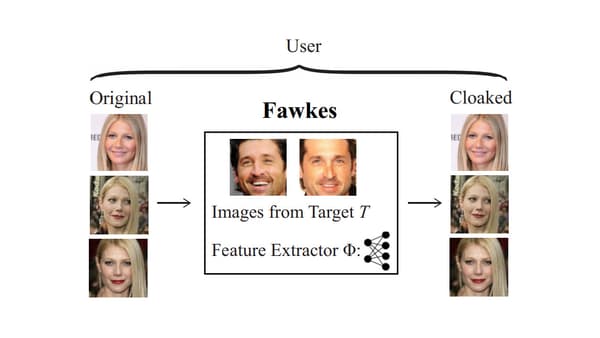 Transformation réalisée par le logiciel Fawkes Transformation réalisée par le logiciel Fawkes