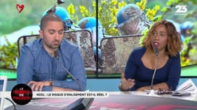 NDDL : "Les zadistes sont des glandistes !"
