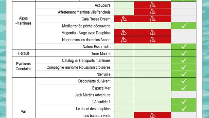 Le classement des opérateurs de cétacés réalisé par l'ONG.