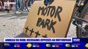 Haut-Rhin: une centaine de personnes mobilisées contre le projet de MotorPark