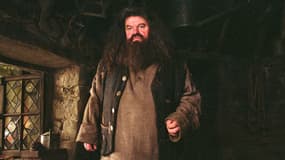 L'acteur Robbie Coltrane dans "Harry Potter et le Prisonnier d'Azkaban" en 2004.