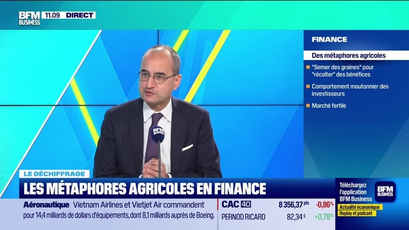 Le déchiffrage : Comment investir dans l'agriculture - 19/02