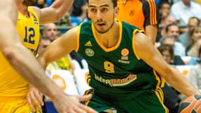 Leo Westermann (Limoges CSP)