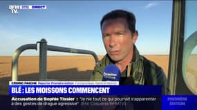 Après les records de chaleur, les moissons de blé ont commencé en avance 
