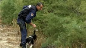 Policier d'une équipe cynophile, mardi, près de Perpignan.