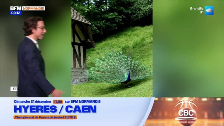 Ça va-tu ? - La météo de Colas du lundi 15 décembre 2025