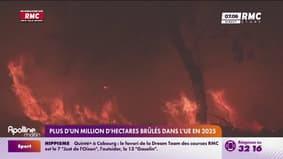 En 2025, plus d'un million d'hectares ont brûlé dans l'Union européenne