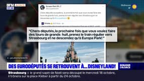 Erreur d'aiguillage: un TGV Bruxelles-Strasbourg conduit des eurodéputés à... Disneyland Paris