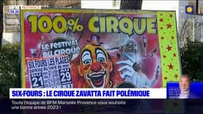 Six-Fours-les-Plages: le cirque Zavatta de nouveau dans la tourmente