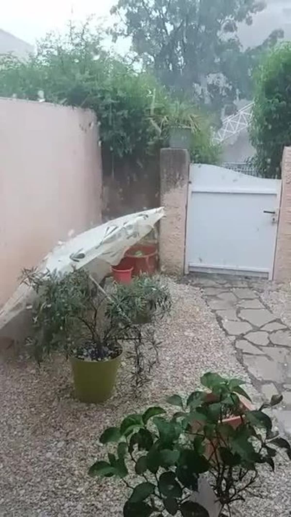 placeholder video