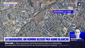 Marseille: un jeune blessé à l'arme blanche à la Sauvagère