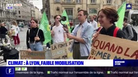 Grève pour le climat : à Lyon, faible mobilisation