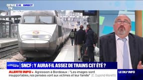 SNCF : y aura-t-il assez de trains cet été ? - 20/06