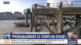 Nantes: "Il y a des éléments suffisants pour penser qu'il y a des probabilités que le corps retrouvé soit celui de Steve" (avocate de la famille)