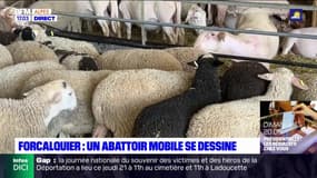 Alpes du Sud: un abattoir mobile se dessine