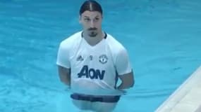 Zlatan Ibrahimovic (Man Utd)