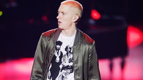 Eminem sur scène en avril 2014