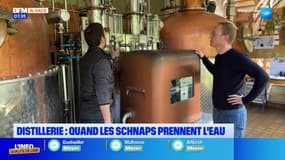 "Une année un peu stressante": en Alsace, les distilleries s'adaptent après une mauvaise récolte