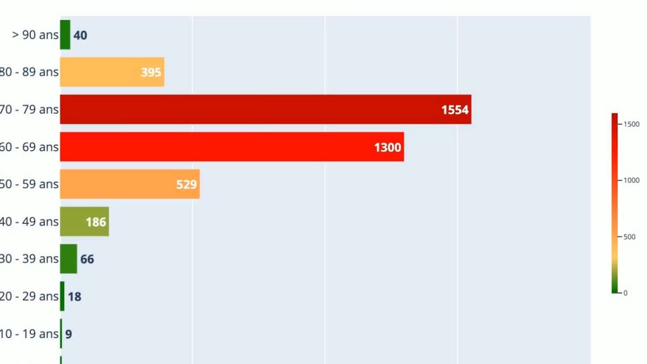 Personnes en réanimation en France au 25 novembre selon les tranches d'âge Personnes en réanimation en France au 25 novembre selon les tranches d'âge