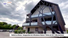 Habitat en Alsace : Inauguration de la Résidence Séniors "L'arbre de Vie" à Marckolsheim