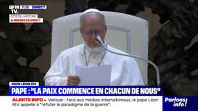 "L'intelligence artificielle requiert une certaine responsabilité afin d'orienter ces instruments pour le bien commun", souligne le pape Léon XIV