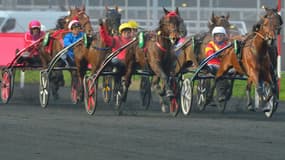 Le Grand Prix de Bourgogne aura lieu le dimanche 29 décembre à Vincennes. 