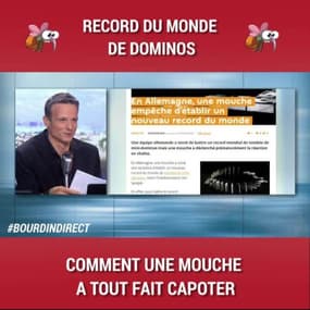 Comment une mouche a empêché de battre un record du monde