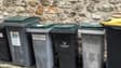 Des poubelles à puce en Seine-et-Marne (illustration)