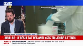 Affaire Jubillar: l'identification des ossements trouvés près de Cagnac-les-Mines toujours en cours