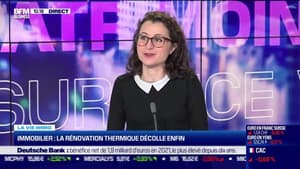 Marie Coeurderoy: La rénovation thermique décolle enfin dans l'immobilier - 27/01