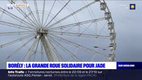 Marseille: les recettes de la grande roue reversées à une lycéenne atteinte de leucémie 