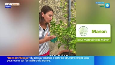 Jardinage & Flûte enchantée - La météo de Colas du mardi 30 septembre 2025 