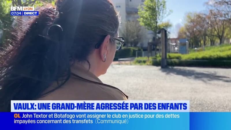 Vaulx-en-Velin : Une grand-mère agressée par des enfants