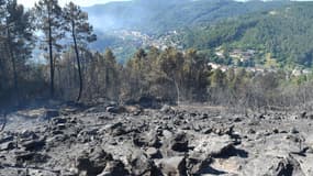 Une photo prise près de Besseges, dans le sud de la France, le 8 juillet 2022. Photo d'illustration