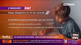 LES INDISCRETS RMC - Le stage de seconde, une fausse bonne idée ? 