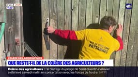 "On n'a rien obtenu": dans le Rhône, ce producteur de lait est retourné sur son exploitation à contrecœur après plusieurs jours de mobilisation