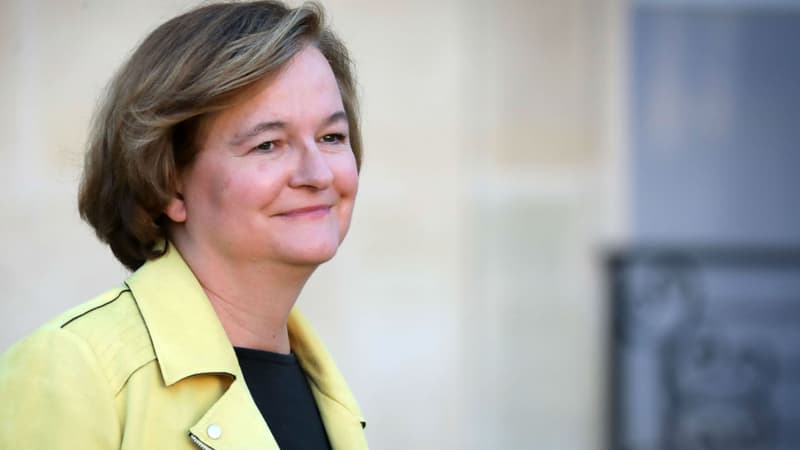 Nathalie Loiseau, ex-ministre auprès du ministre de l'Europe et des Affaires étrangères à l'Elysée le 14 novembre 2018. - LUDOVIC MARIN / AFP