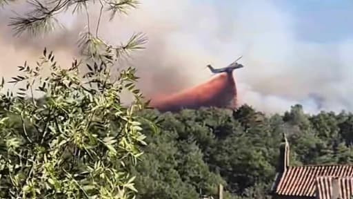 Les pompiers sont mobilisés pour lutter contre un feu de pinède à Saint-Privat, dans l'Hérault, ce mercredi 21 août 2024