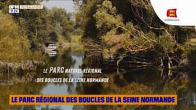 VU D'ICI : Le Parc Régional des Boucles de la Seine normande