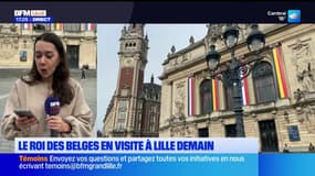 Nord: le roi des Belges en visite à Lille ce mercredi